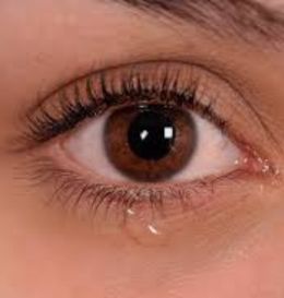 Dry Eye & Lacrimal Treatment